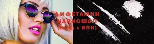 индика Болотное